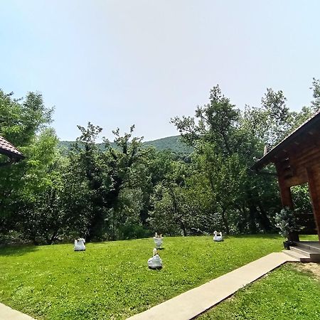 Apartmani Kajkut Banja Luka Zewnętrze zdjęcie