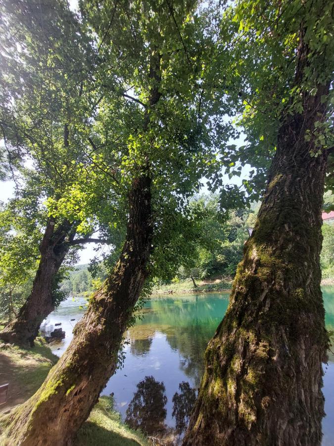 Apartmani Kajkut Banja Luka Zewnętrze zdjęcie